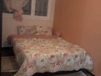 Expérience Immersive sur Alger 