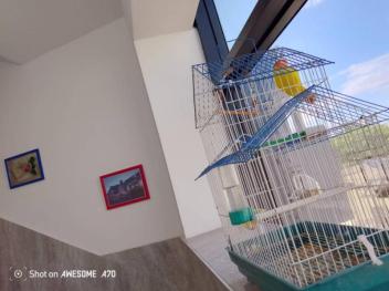 Appartements modernes équipés