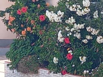 Petite villa style pavillon 