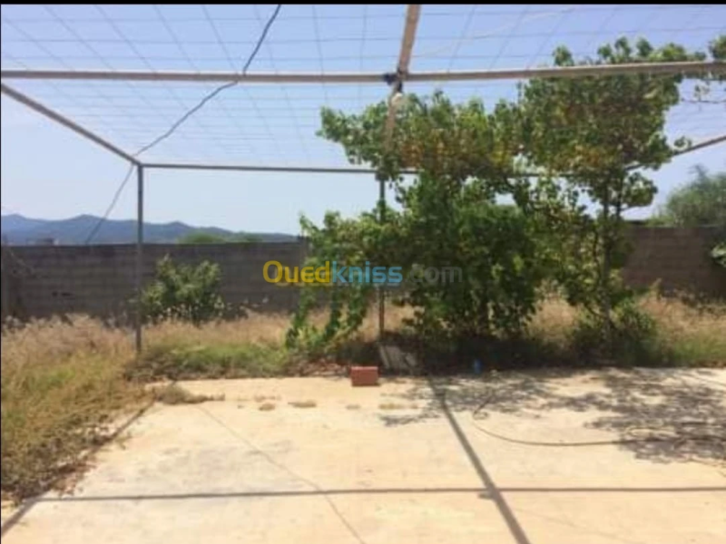  ستوديو كبير، أف2 صغيرة، وأف2 كبيرة