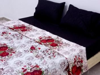 Appartement f 3 équipe cite 611 LG AADL bouzrarour