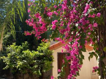 RdC privé villa avec piscine birtouta 