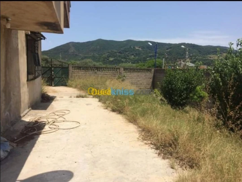 ستوديو كبير، أف2 صغيرة، وأف2 كبيرة maison portes