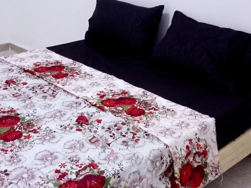 Appartement f 3 équipe cite 611 LG AADL bouzrarour maison interne