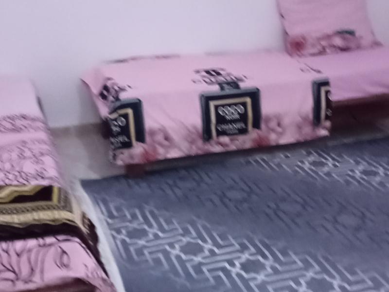 Appartement f 3 équipe cite 611 LG AADL bouzrarour Chambres 2