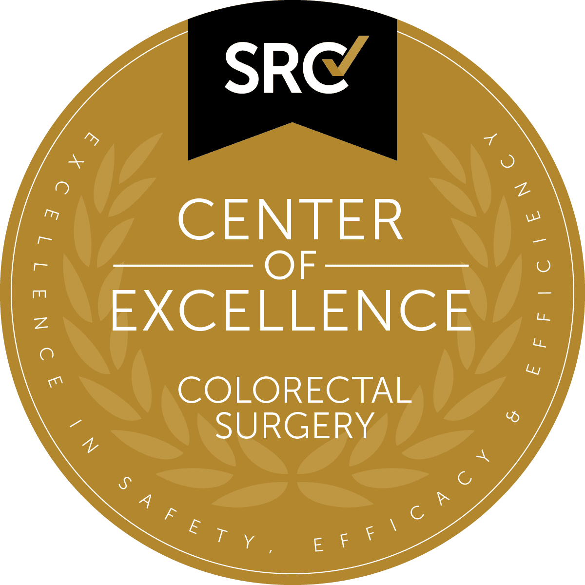 Center of Excellence in Colorectal Surgery — Surgical Review Corporation (SRC) LIV Vadistanbul