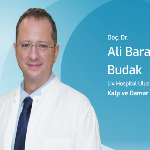 Assoc. Prof. Dr. Ali Baran Budak