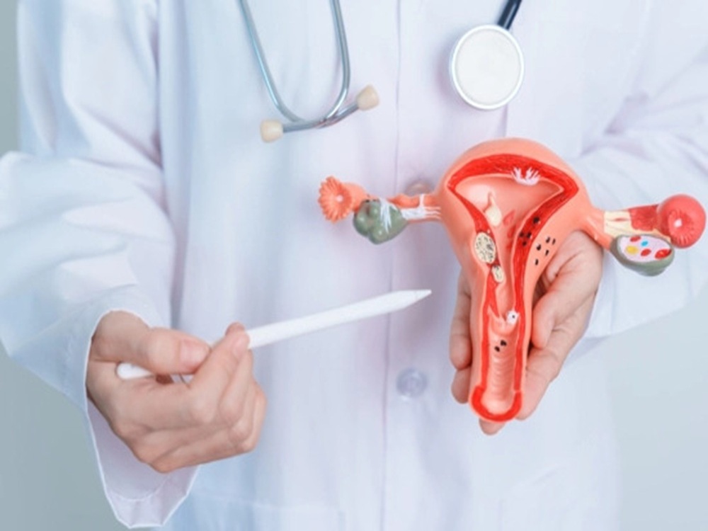 tratamiento de fertilidad