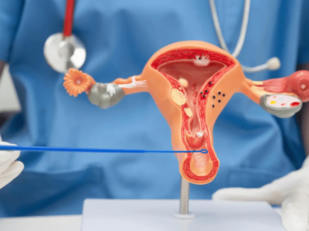 Biopsy results: what they mean and what happens next 2026 Biopsy results: what they mean and what happens next 2026