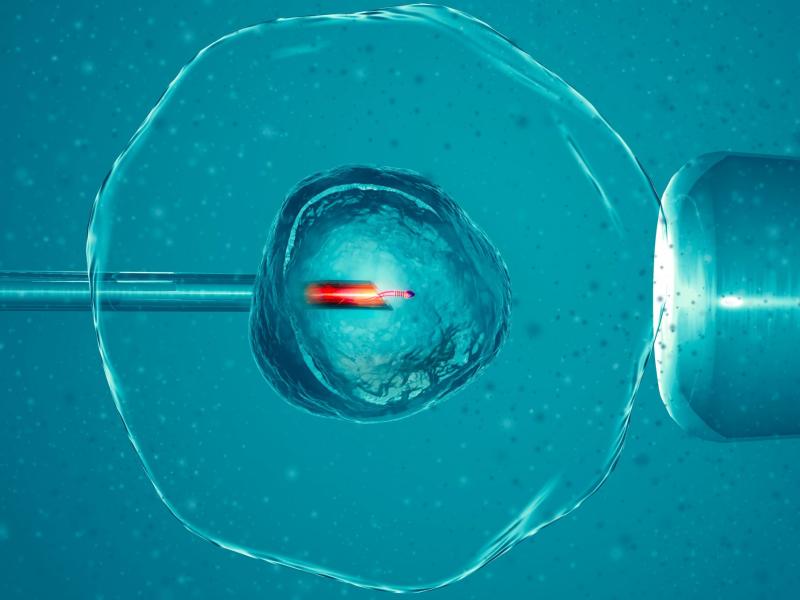 интрацитоплазматическая инъекция сперматозоида Турция 