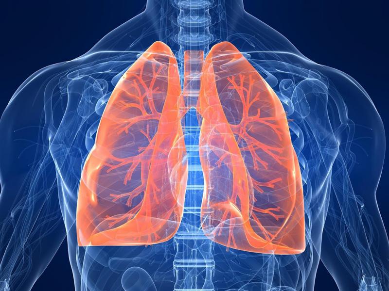 Lung Transplant Turkey 