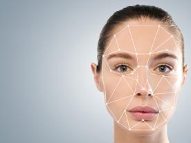 Esthétique de la toile d'araignée