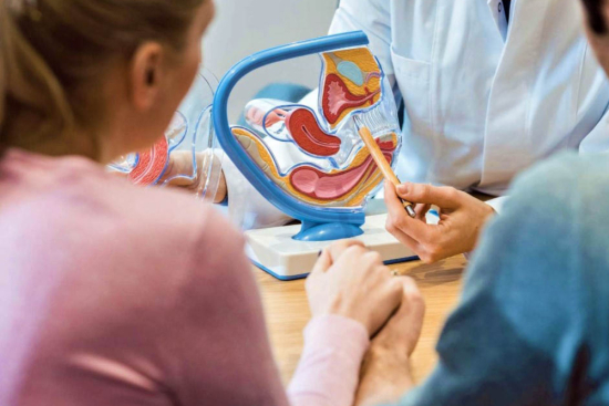 Fertility assessment