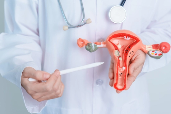 Какие методы лечения бесплодия предлагаются в Турции? 2026 Какие методы лечения бесплодия предлагаются в Турции? 2026