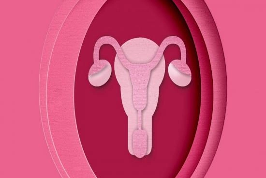 Biopsy of the Endometrium0 Turkey Biopsy of the Endometrium Turkey