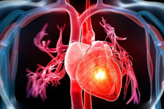 What is congenital heart disease? 2024