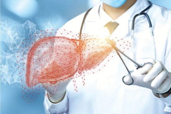 توصيات ما بعد العملية 2026