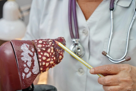 Course of the intervention 2026