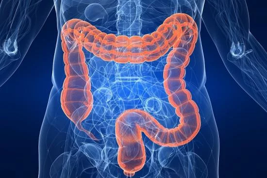 Chirurgie Colorectale Turquie 