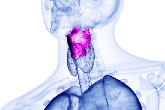 Risk factors of vocal disorders 2024