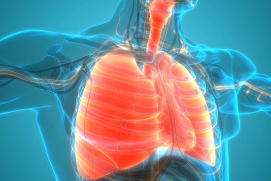 Thoracic surgery in Turkey : Expert care at competitive prices 2026