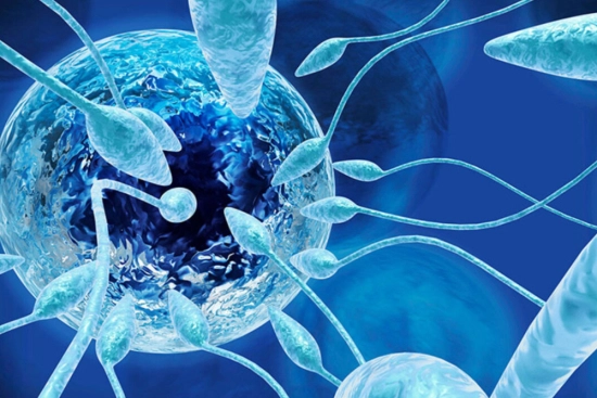 Límites y precauciones del diagnóstico genético preimplantacional ((DPI)) 2026