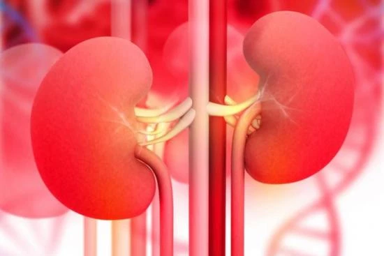What is kidney dialysis? 2024