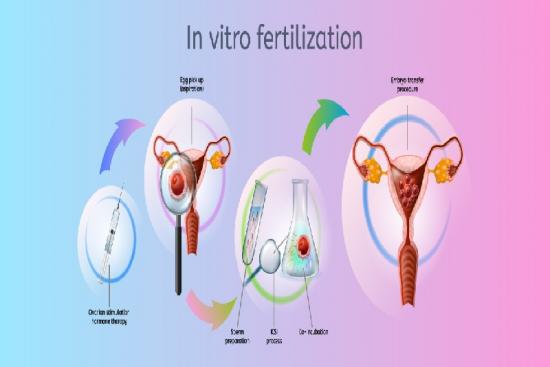 In Vitro Fertilization Ivf Turkey Istanbul Top 3 Clinics And Prices🥇 0101