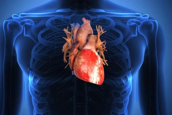 Heart transplant cost