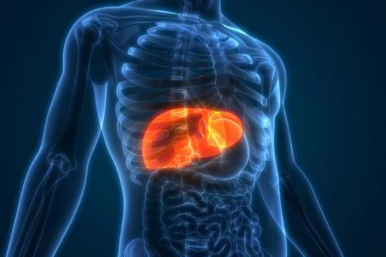 Liver transplant cost in Turkey