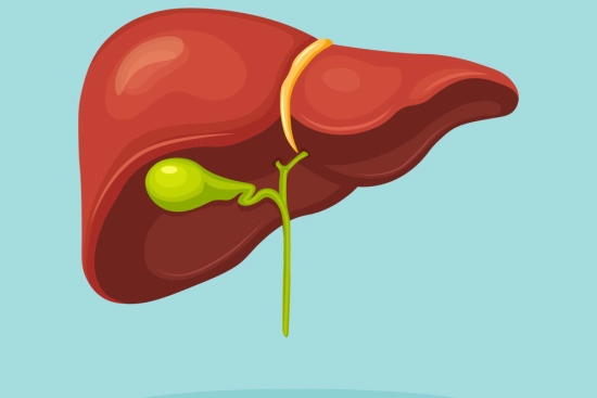 المتابعة بعد الجراحة والتعافي بعد استئصال الكبد 2026 المتابعة بعد الجراحة والتعافي بعد استئصال الكبد 2026