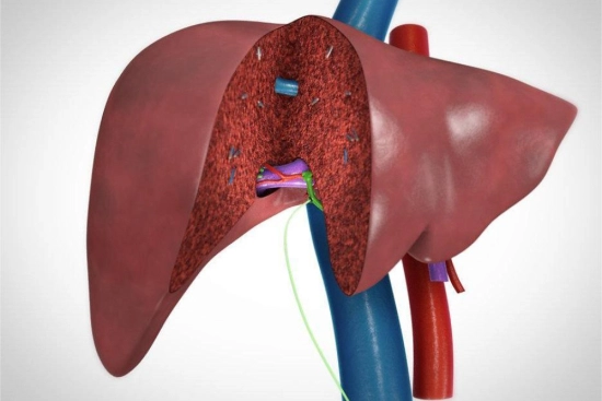 Hepatic resection procedure in Turkey 2026