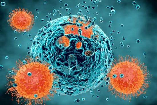 Immune system and cancer: what can be done? 2025