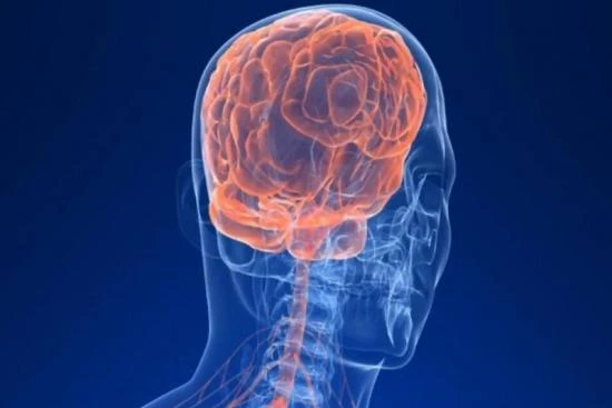 Facial neuralgia: what are the symptoms? 2024