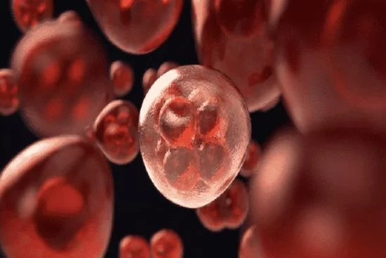 أنواع ابيضاض الدم 2024