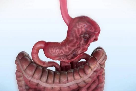 How is endoscopic gastric plication performed? 2024