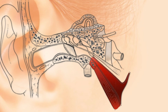 Signs of ossicular chain damage 2024