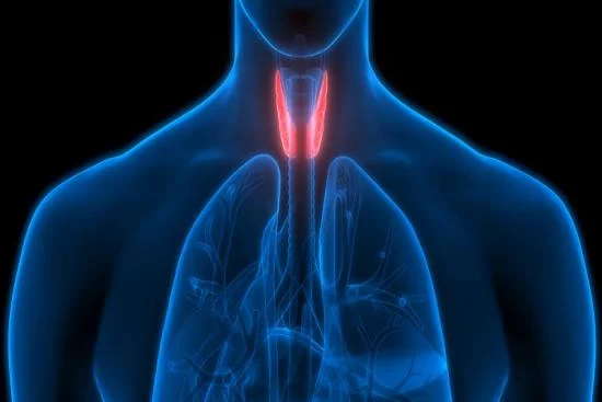 Thyroïdectomie 