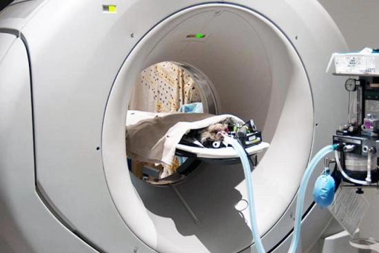 تصوير مقطعي محوسب للجسم PET/ CT تركيا 