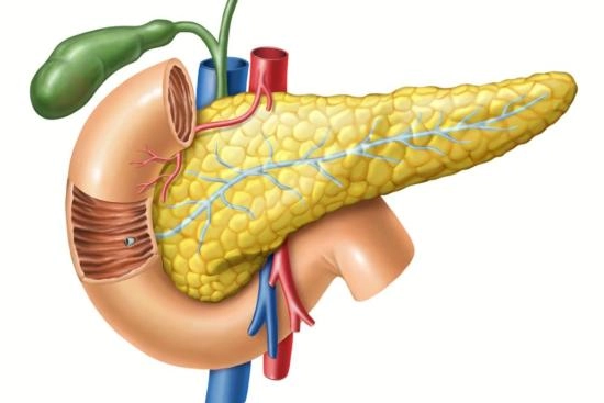 Cancer du pancreas