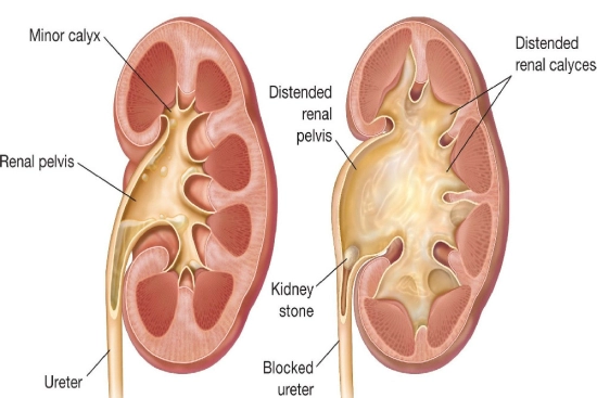 Follow-up after treatment 2024