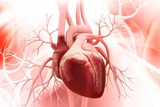Traitement de la valvulopathie cardiaque 